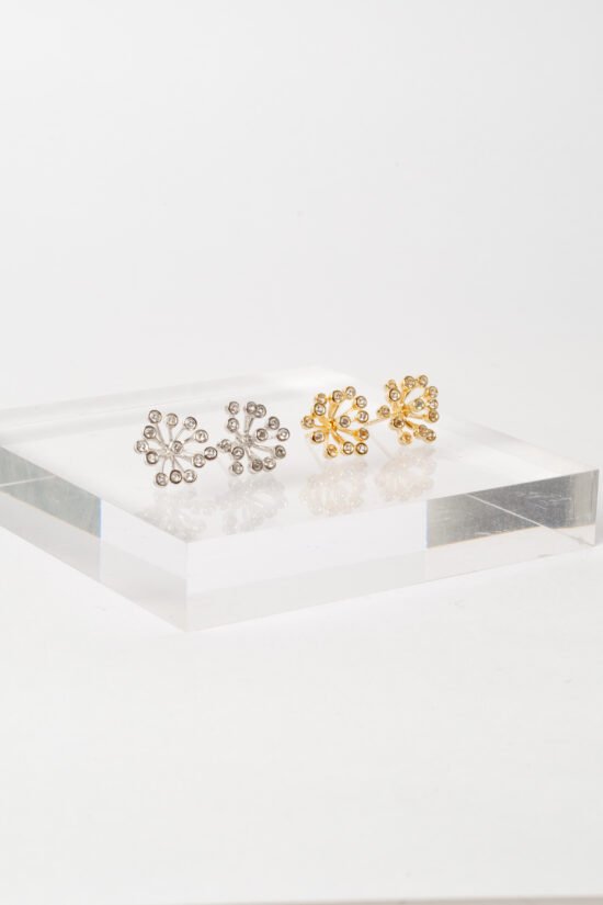 Brinco constelação