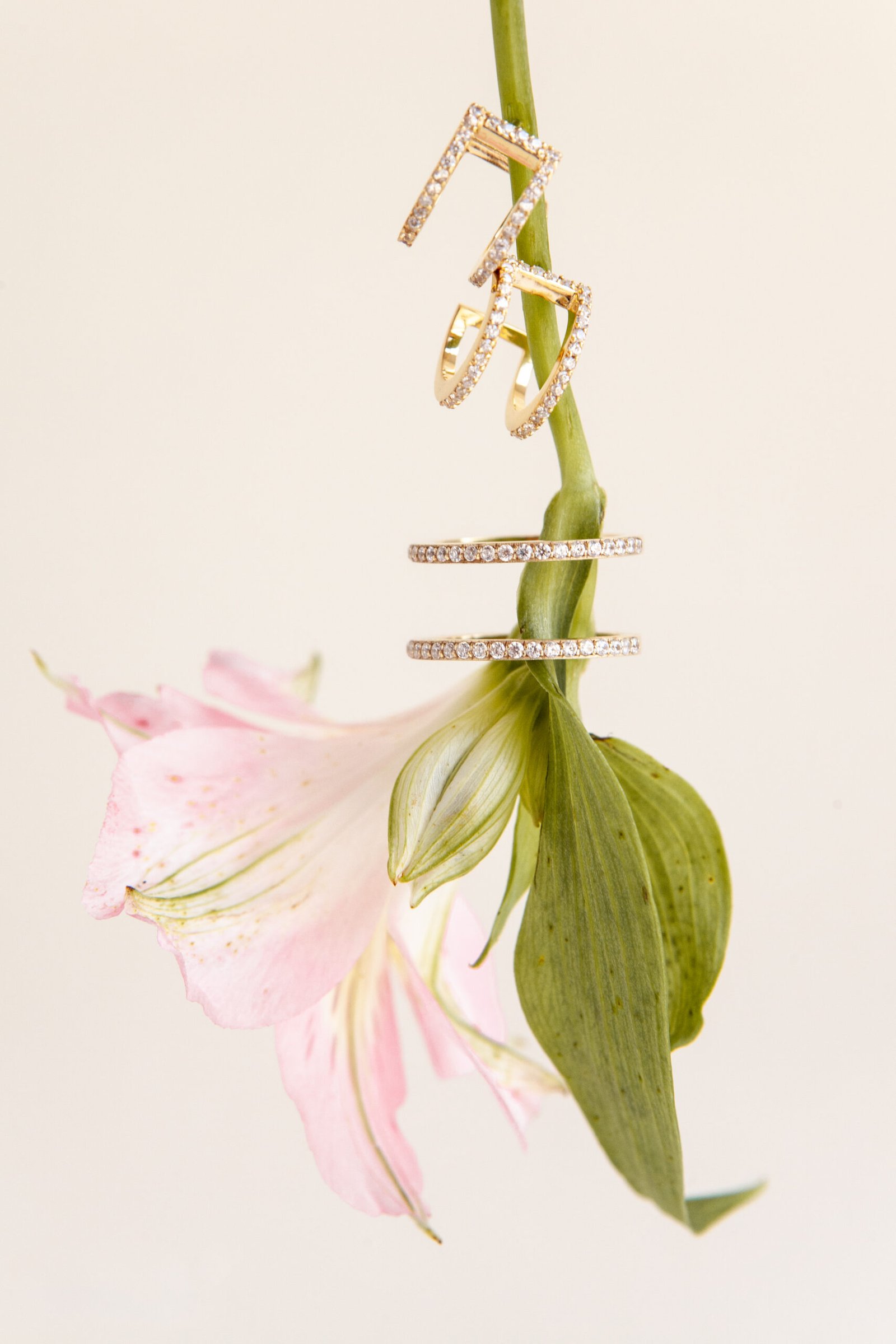 Brinco caminhos | zircônias